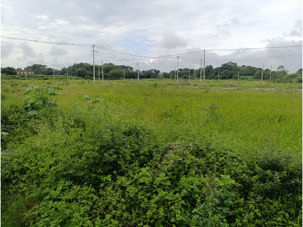 SE VENDE LOTE URBANIZACIÓN TERRA NOVA TULUA VALLE - 2