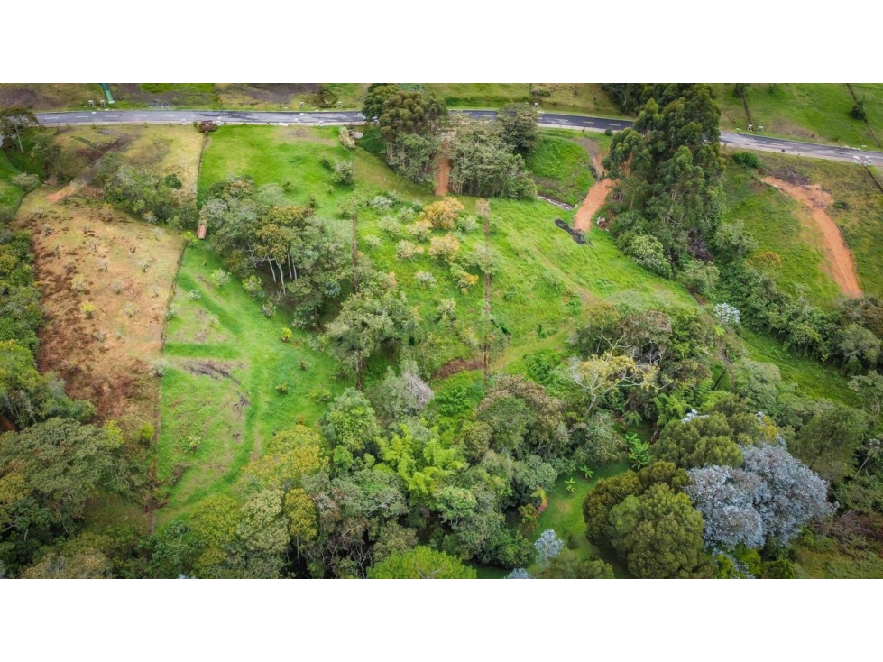 SE VENDE LOTE EN LA CEJA
