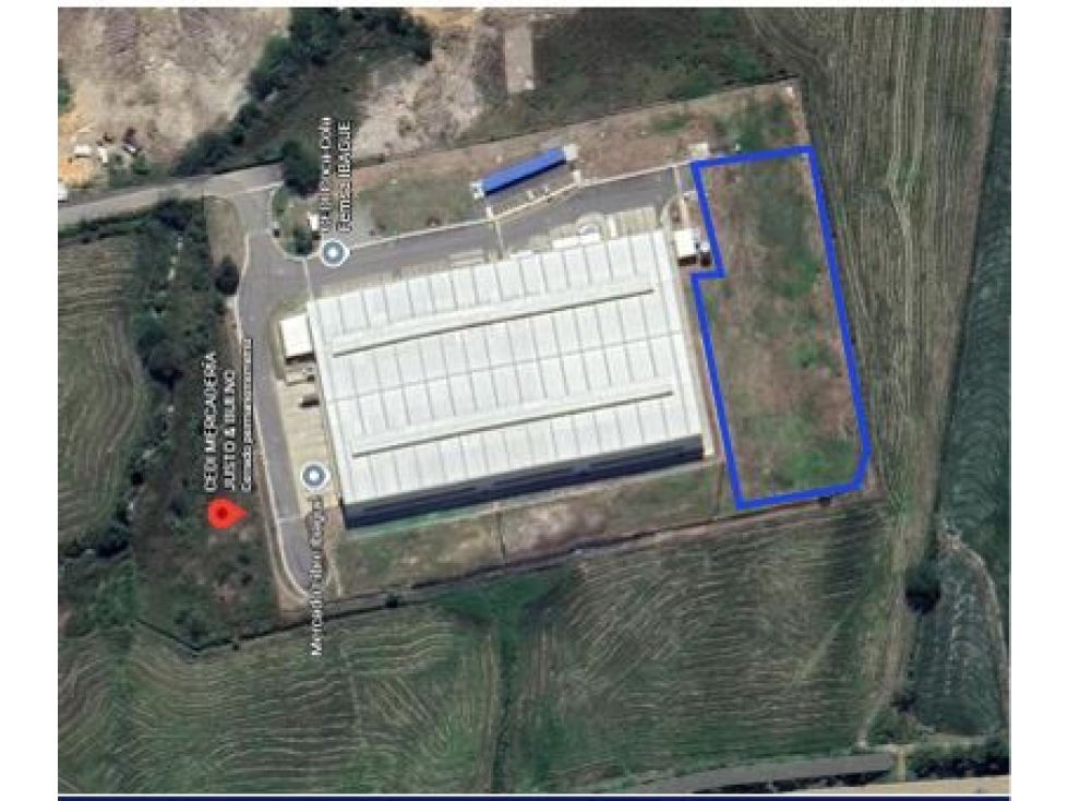 SE ARRIENDA LOTE EN IBAGUE DE 4000M2 - 2