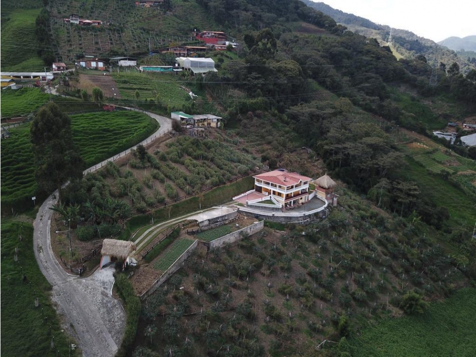 SE VENDE FINCA SAN ANTONIO DE PRADO — foto 4