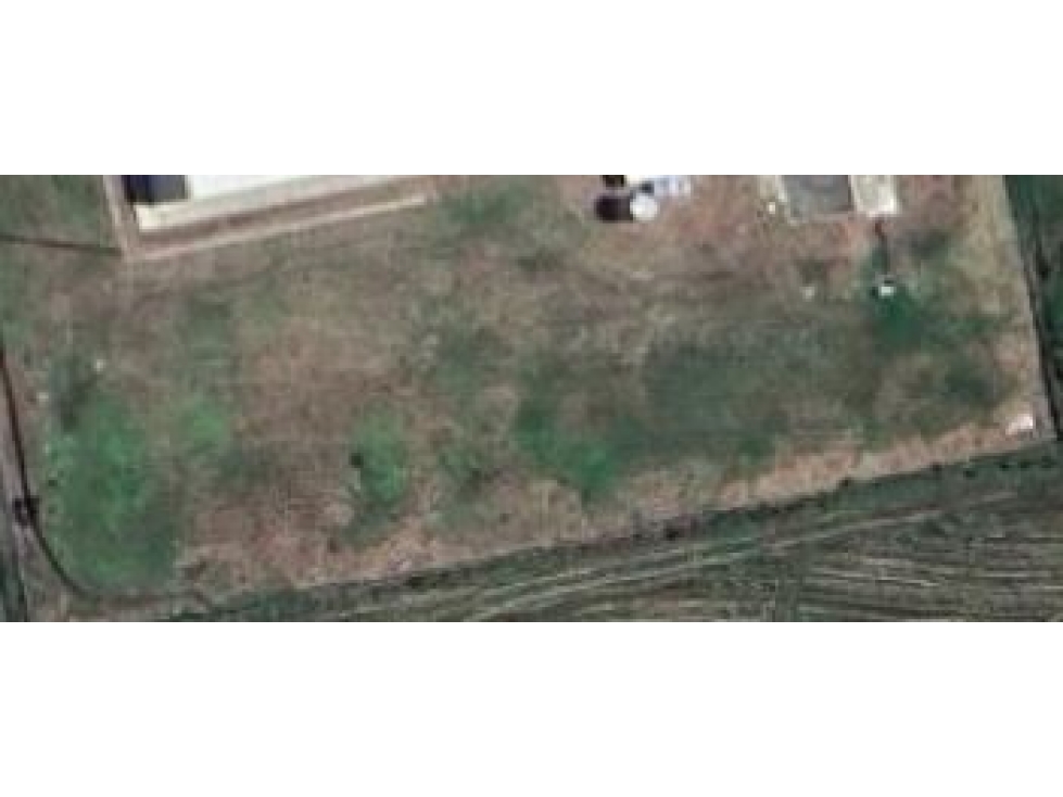 SE ARRIENDA LOTE EN IBAGUE DE 4000M2 - 3