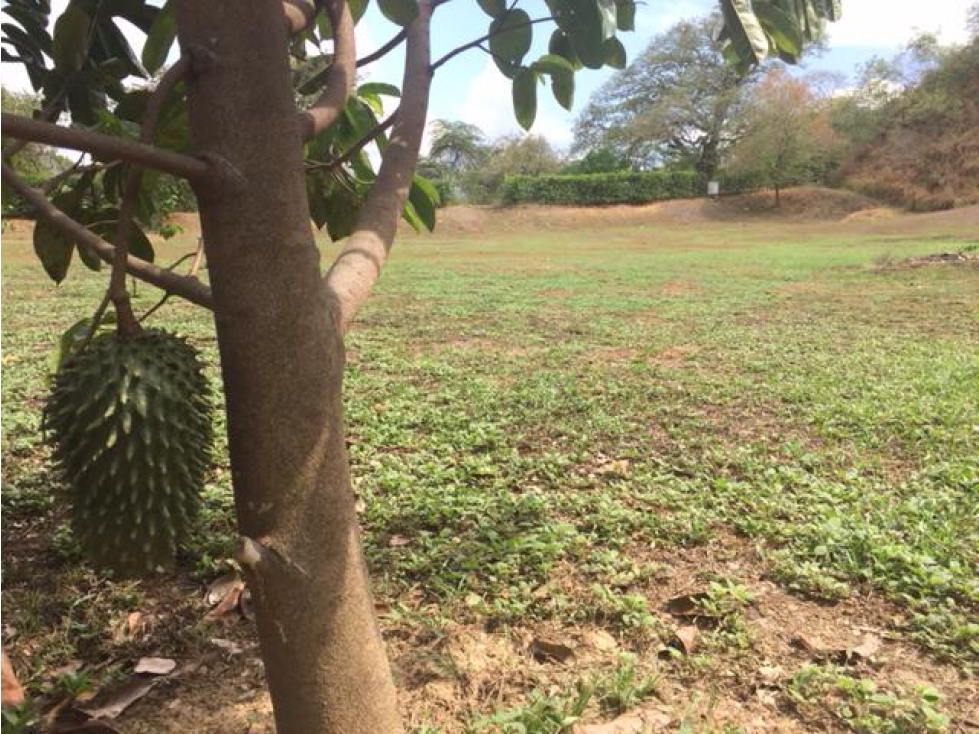 SE VENDE LOTE EN SANTA FE DE ANTIOQUIA - 5