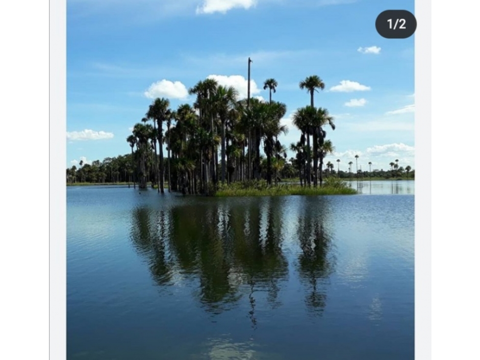 OPORTUNIDAD, GRAN LOTE EN MI FINCA EN EL LLANO - 6