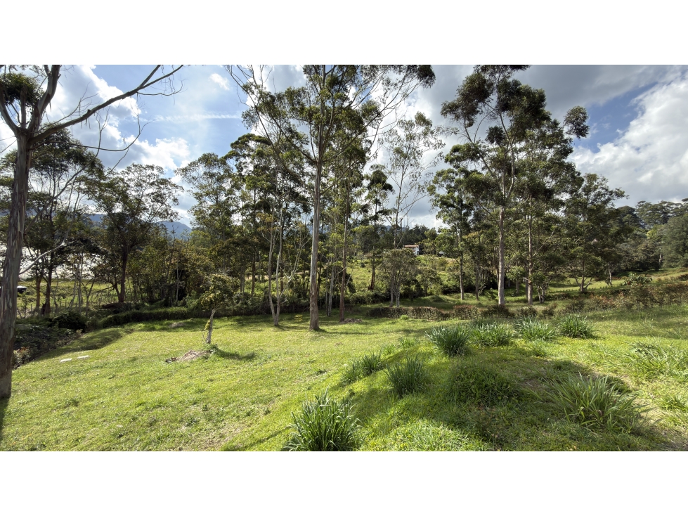 Lote Fizebad