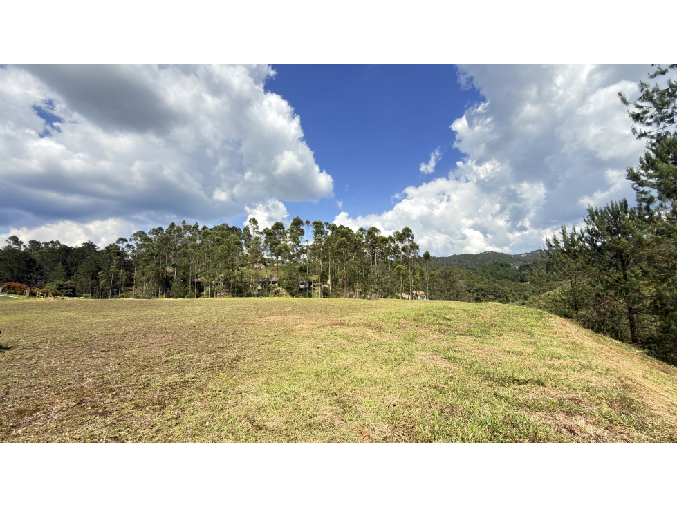 Lote Horizontes