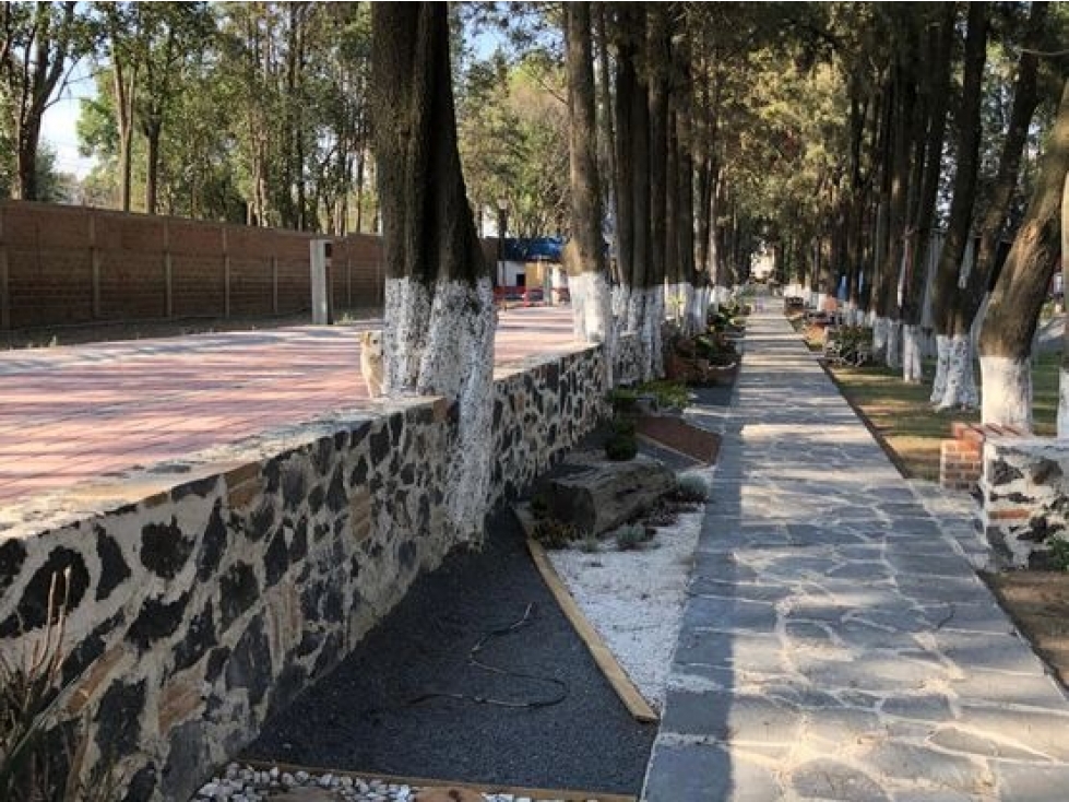 Lotes En Venta Dentro De Fraccionamiento En Zerezotla - 4