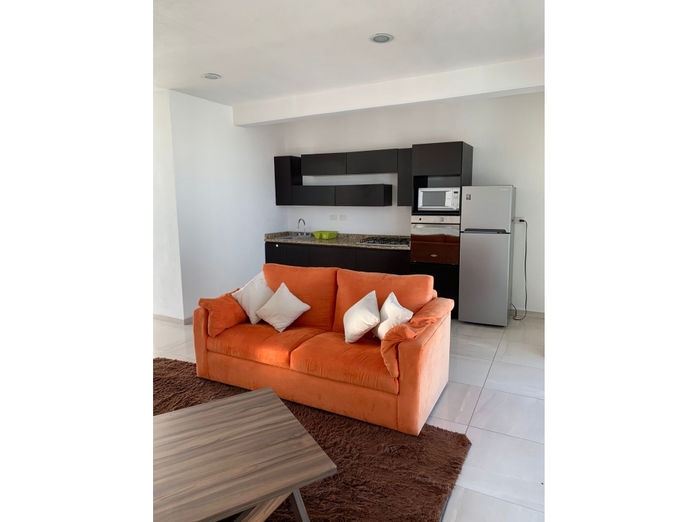 Departamento Amueblado En Renta zona UDLAP, Camino Real 2 Habitaciones — foto 3