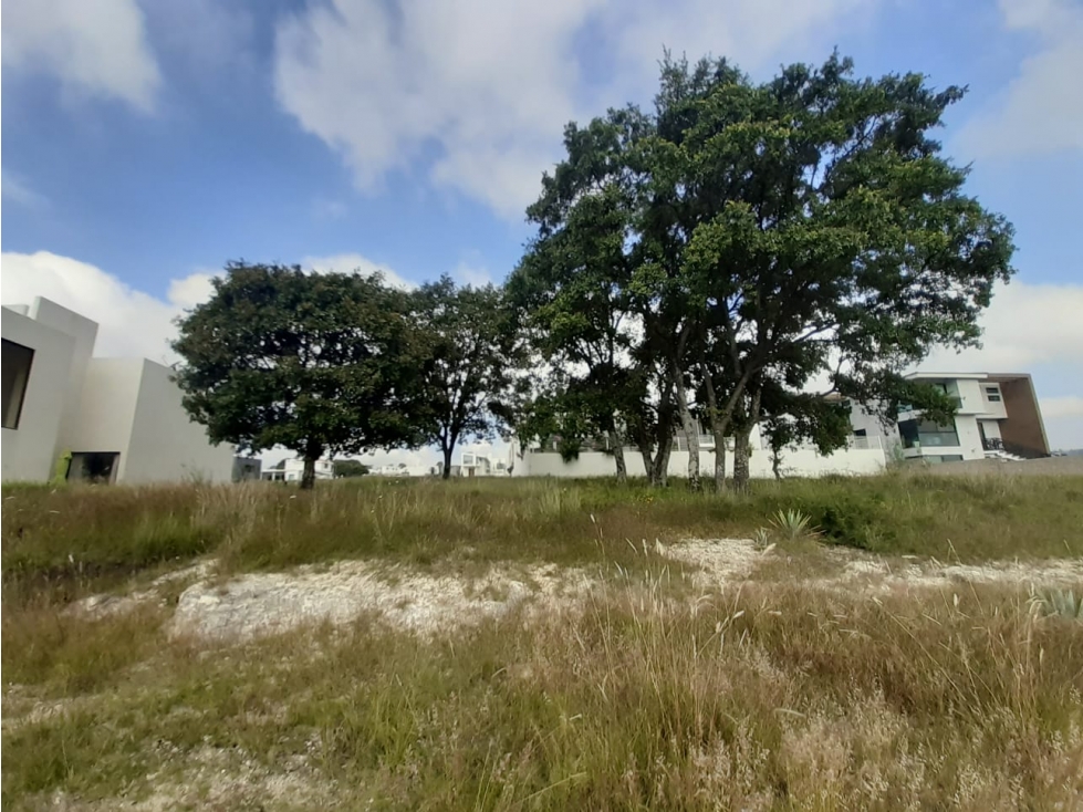 Lote En Venta Fraccionamiento Campestre Residencial Haras, Amozoc - 6