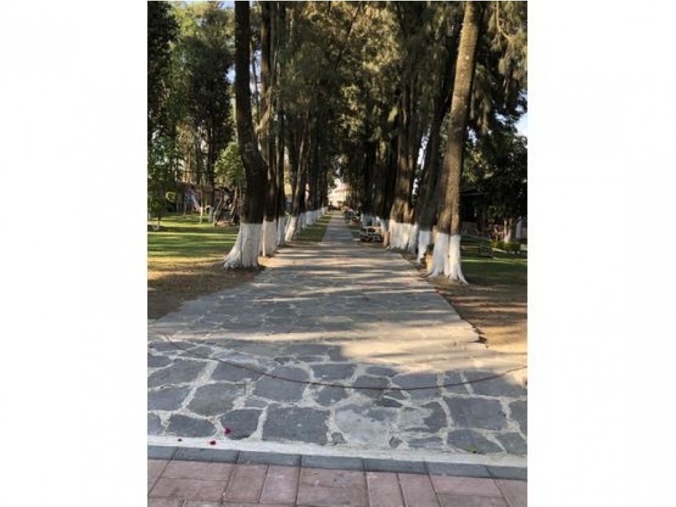 Lotes En Venta Dentro De Fraccionamiento En Zerezotla - 2