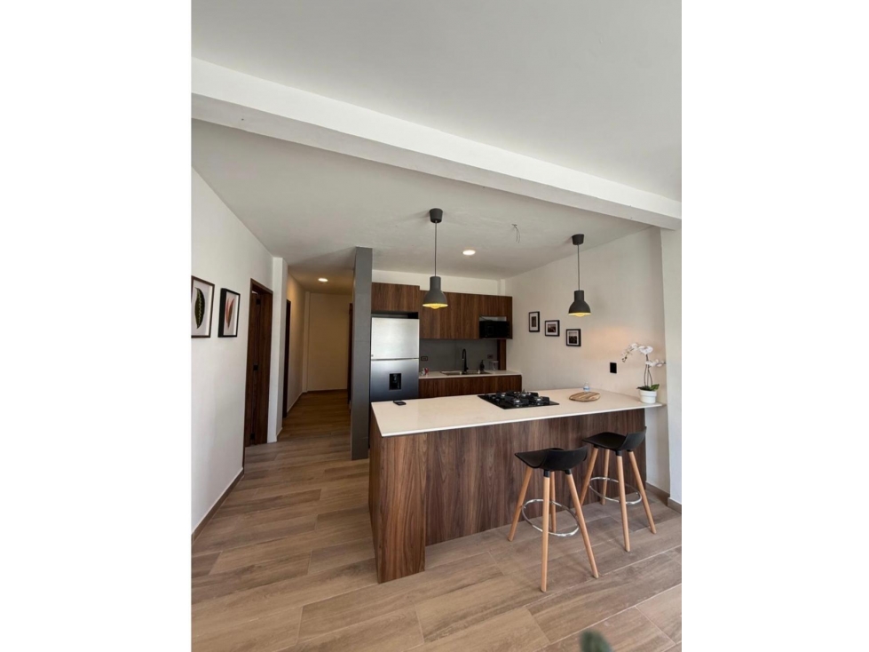 Departamentos en venta calle Reforma Cuautlancingo — foto 3