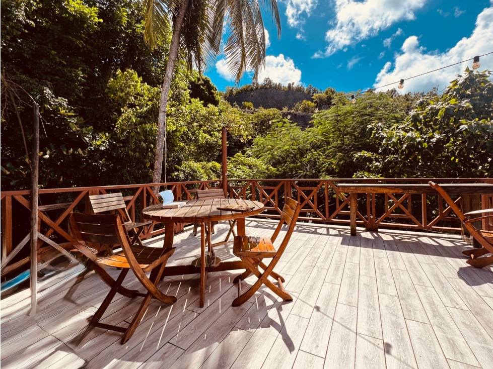 SE ARRIENDA CASA PARA TEMPORADA EN PROVIDENCIA 500M2 - 3