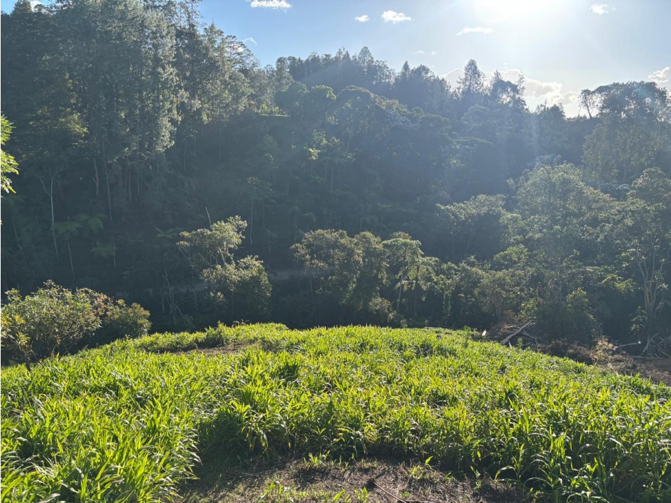 Vendo lote residencial en parcelación cerrada Rionegro