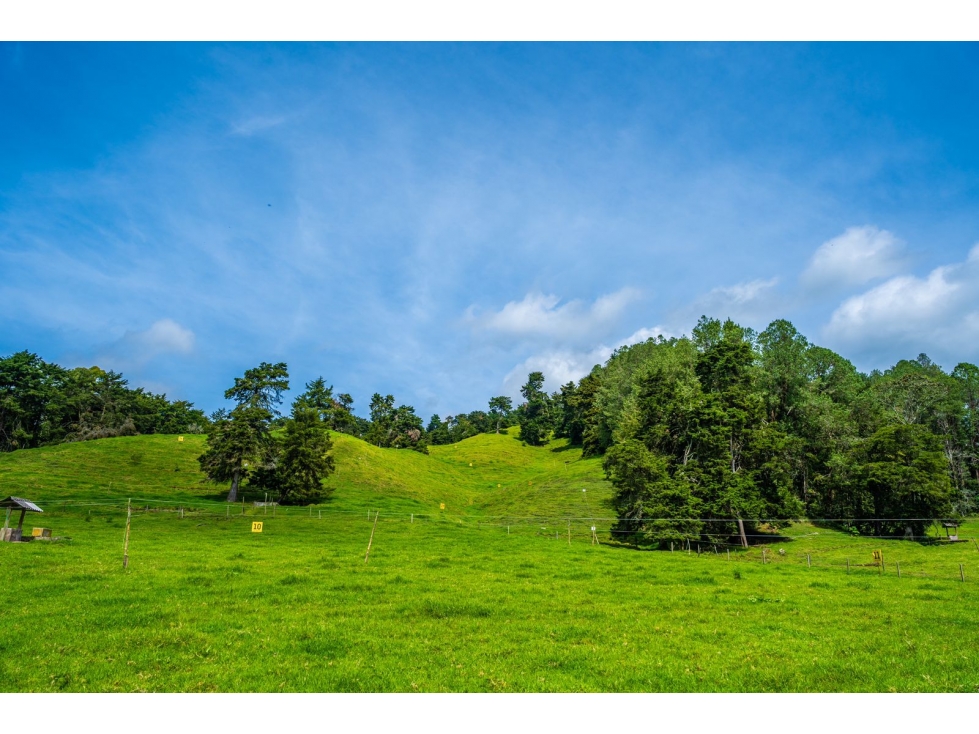 Vendo Lotes el Tablazo - Rionegro desde $ 890 millones