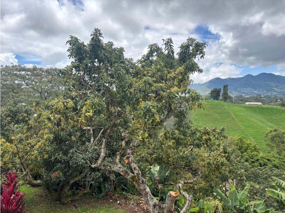 Vendo hermosa finca en el Carmen del Viboral — foto 2