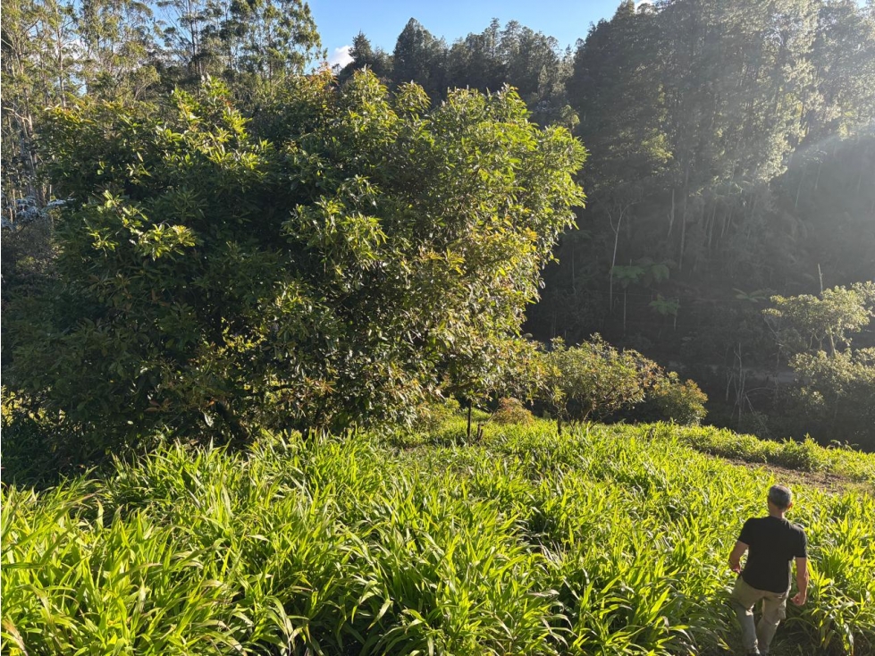 Vendo lote residencial en parcelación cerrada Rionegro — foto 2