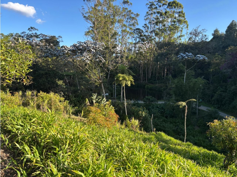 Vendo lote residencial en parcelación cerrada Rionegro — foto 3
