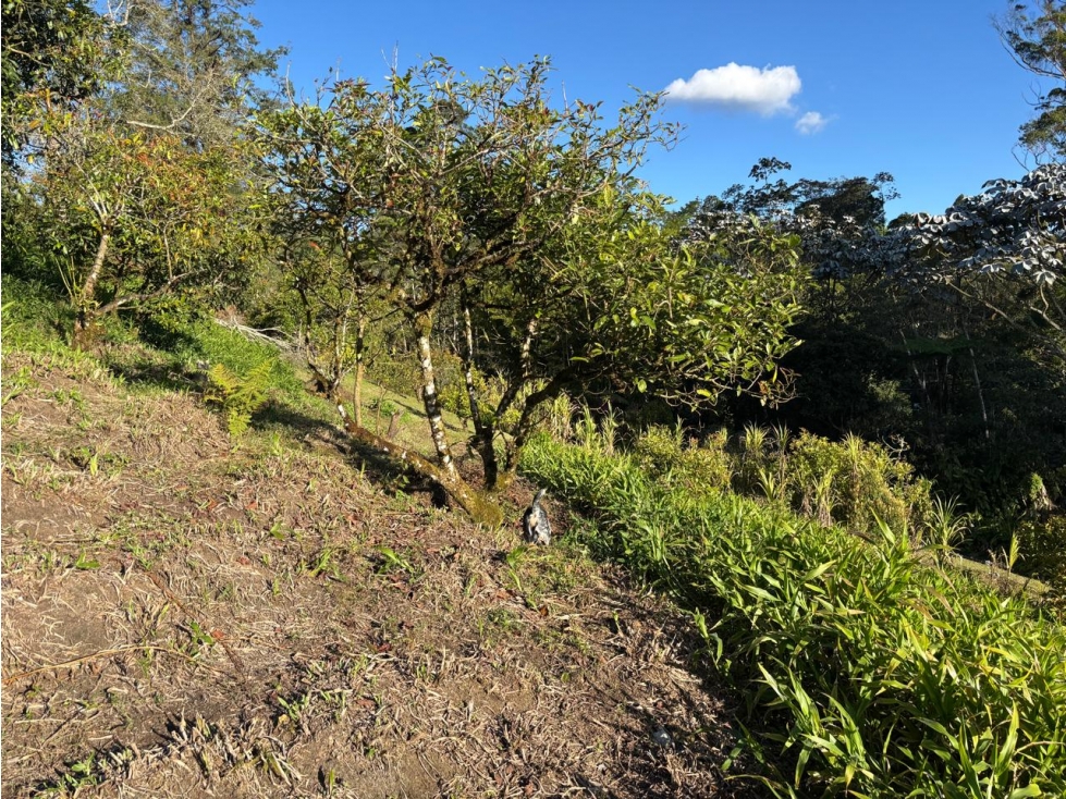 Vendo lote residencial en parcelación cerrada Rionegro — foto 4