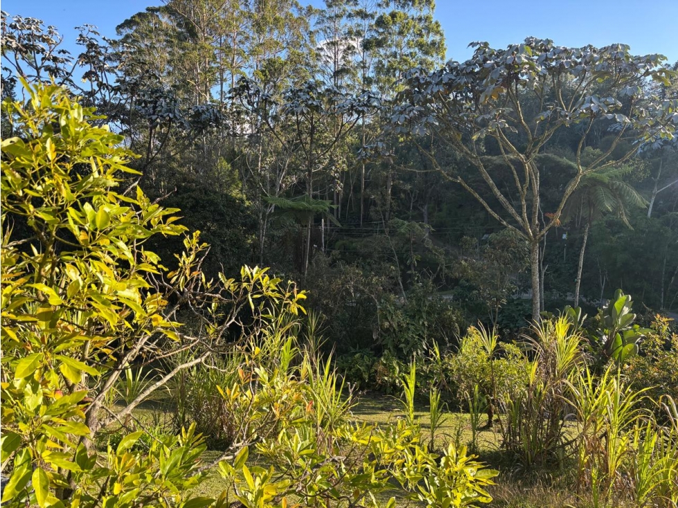 Vendo lote residencial en parcelación cerrada Rionegro — foto 6