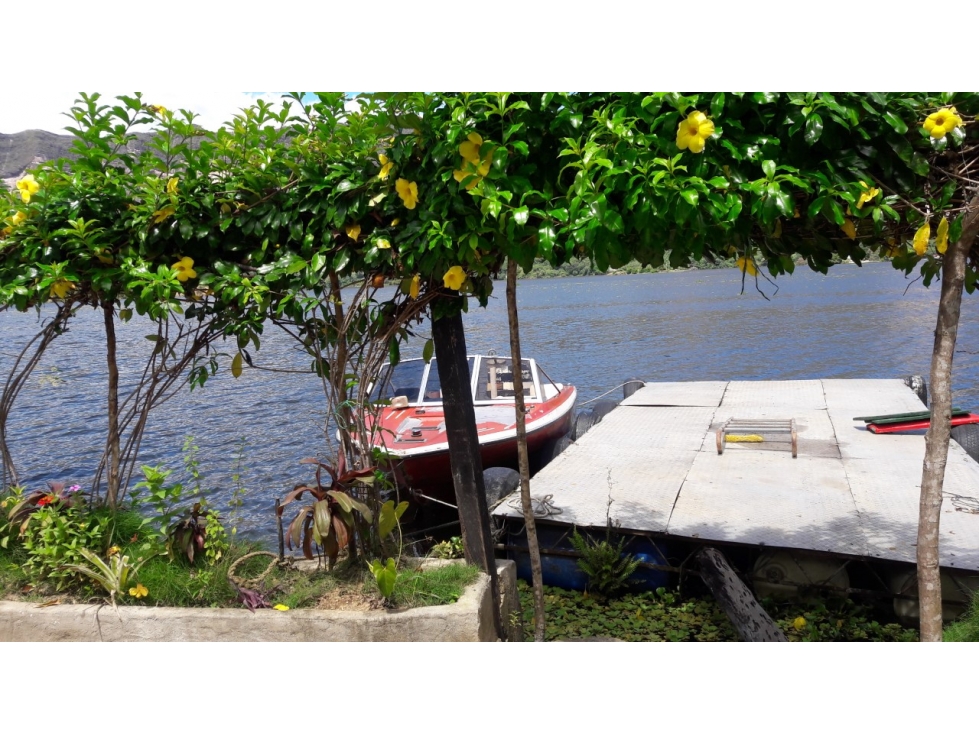 FINCA PRADO TOLIMA 6HA APROX 2CASAS PISCINA LANCHA $250MILL - 2