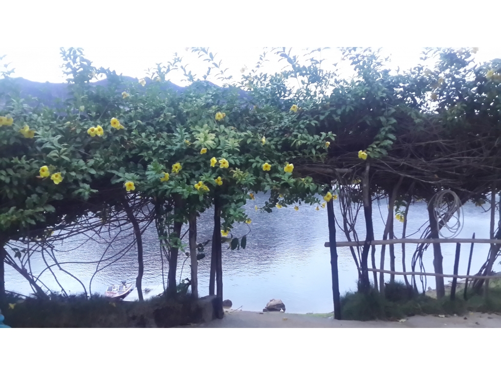 FINCA PRADO TOLIMA 6HA APROX 2CASAS PISCINA LANCHA $250MILL - 4