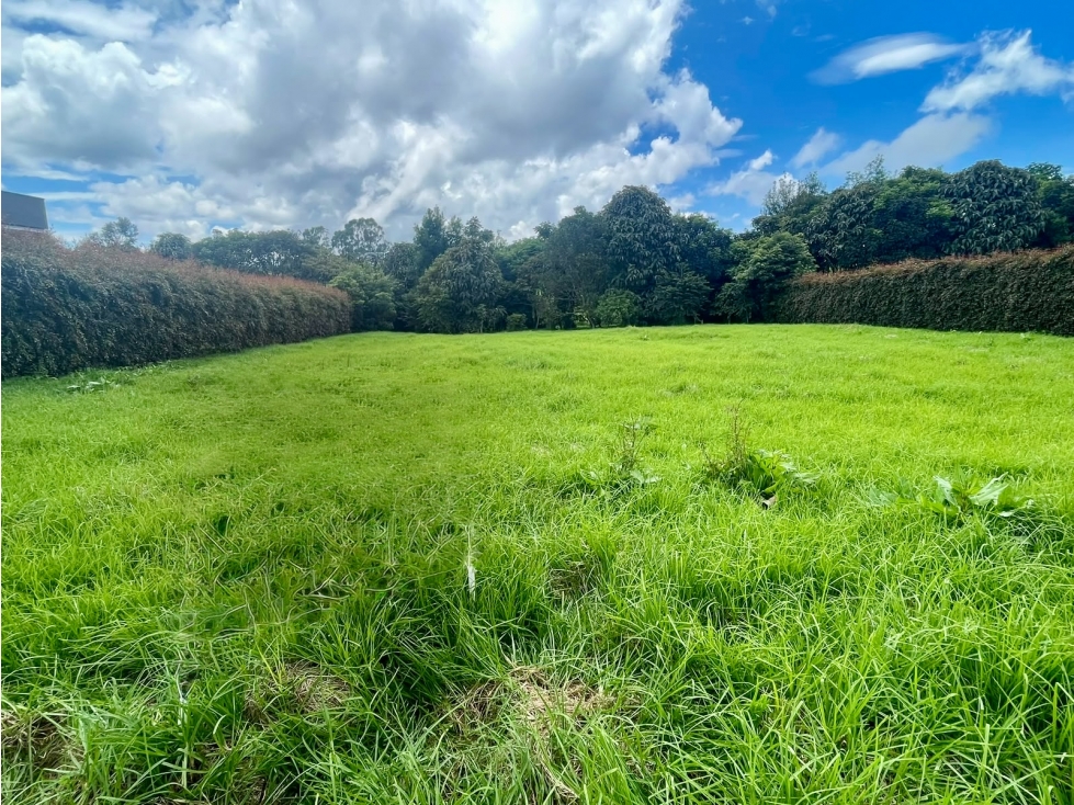 LOTE PARCELACIÓN ALTO DE LAS PALMAS