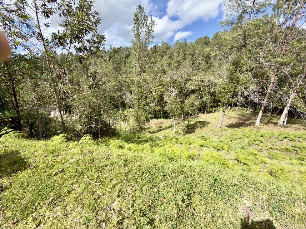 LOTE ALTO DE LAS PALMAS VOLTA HOUSING