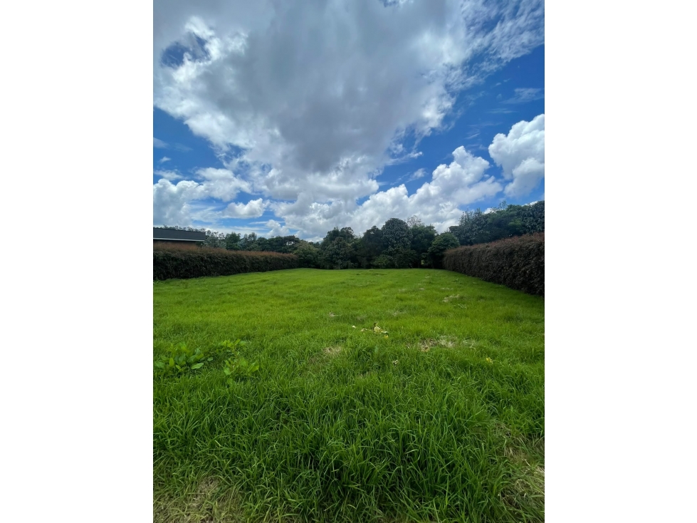 LOTE PARCELACIÓN ALTO DE LAS PALMAS — foto 2