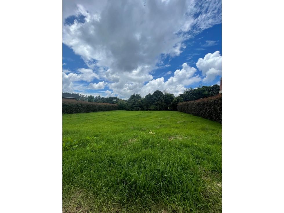 LOTE PARCELACIÓN ALTO DE LAS PALMAS — foto 3