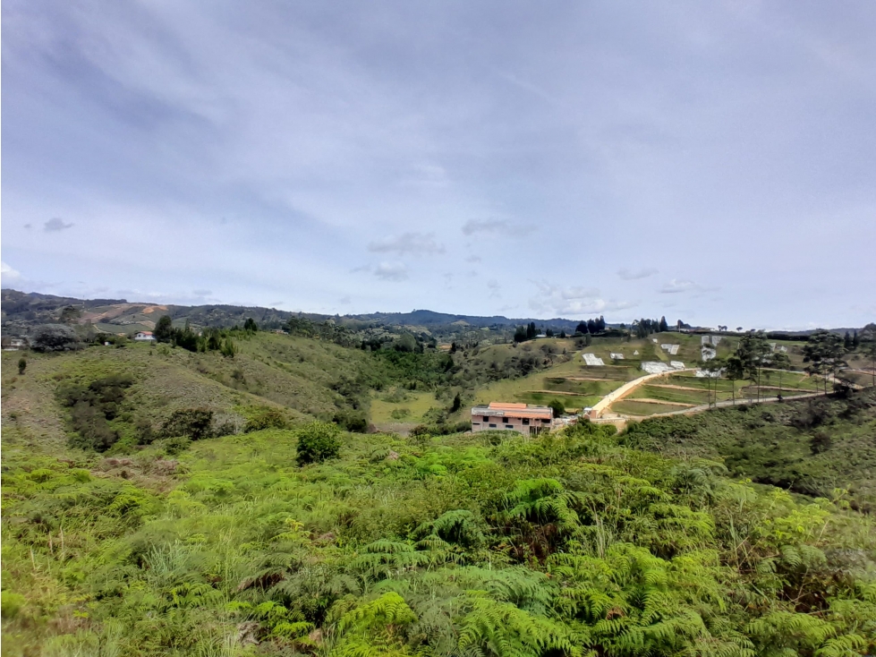 VENTA FINCA GUARNE para PARCELAR, cerca sede Nacional, $16.770 COP — foto 3