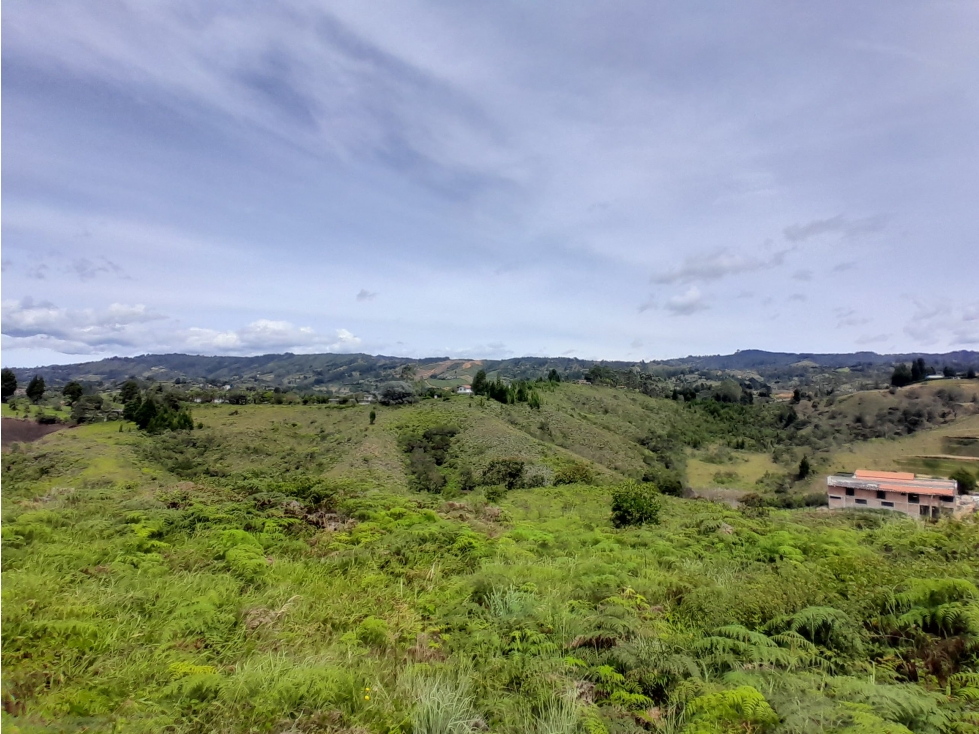 VENTA FINCA GUARNE para PARCELAR, cerca sede Nacional, $16.770 COP — foto 5