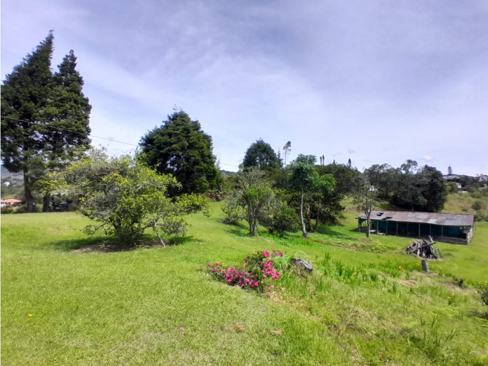 VENTA FINCA GUARNE para PARCELAR, cerca sede Nacional, $16.770 COP — foto 4