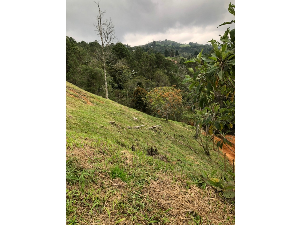VENTA de LOTE en Guarne, Oriente Antioqueño. PRECIO DE OPORTUNIDAD. — foto 6