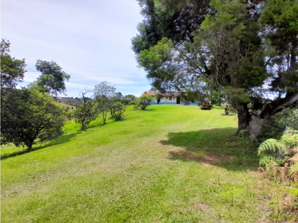 VENTA FINCA GUARNE para PARCELAR, cerca sede Nacional, $16.770 COP — foto 2