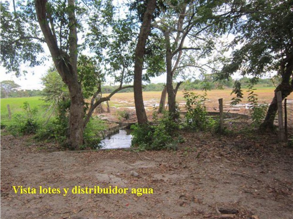 Oportunidad Venta Finca, Guamo - 5