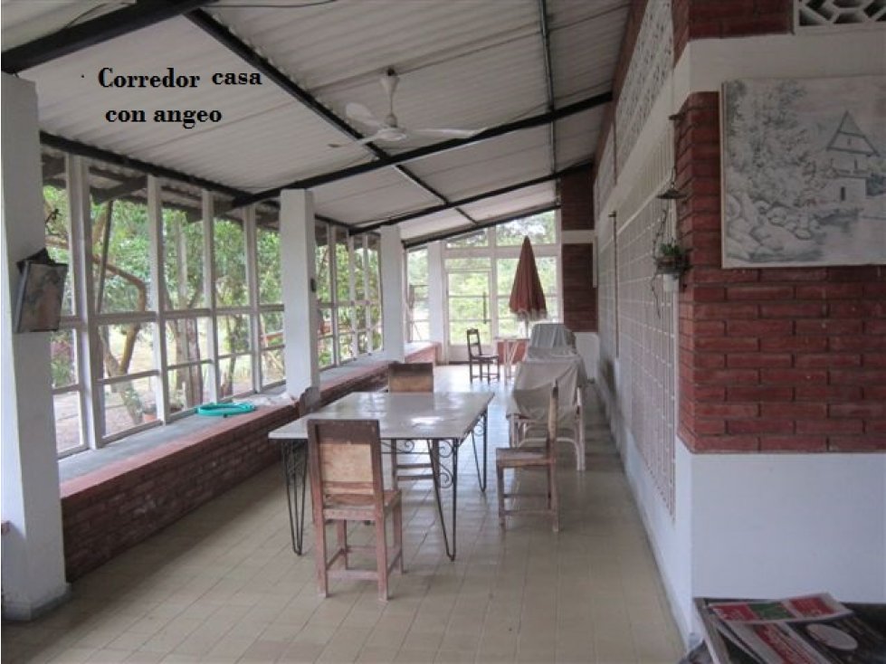 Oportunidad Venta Finca, Guamo - 4