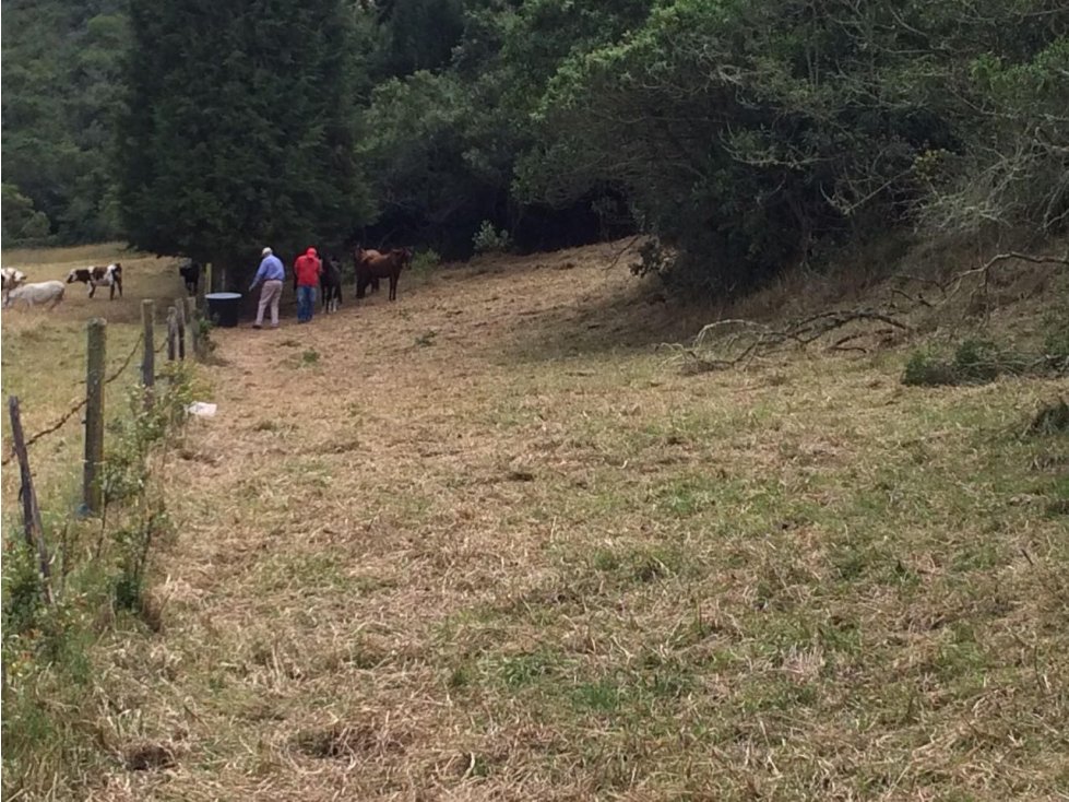 Venta lote, Sopó - 4