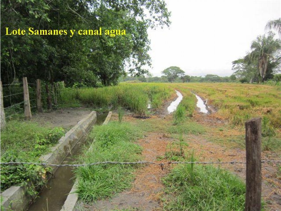 Oportunidad Venta Finca, Guamo - 3