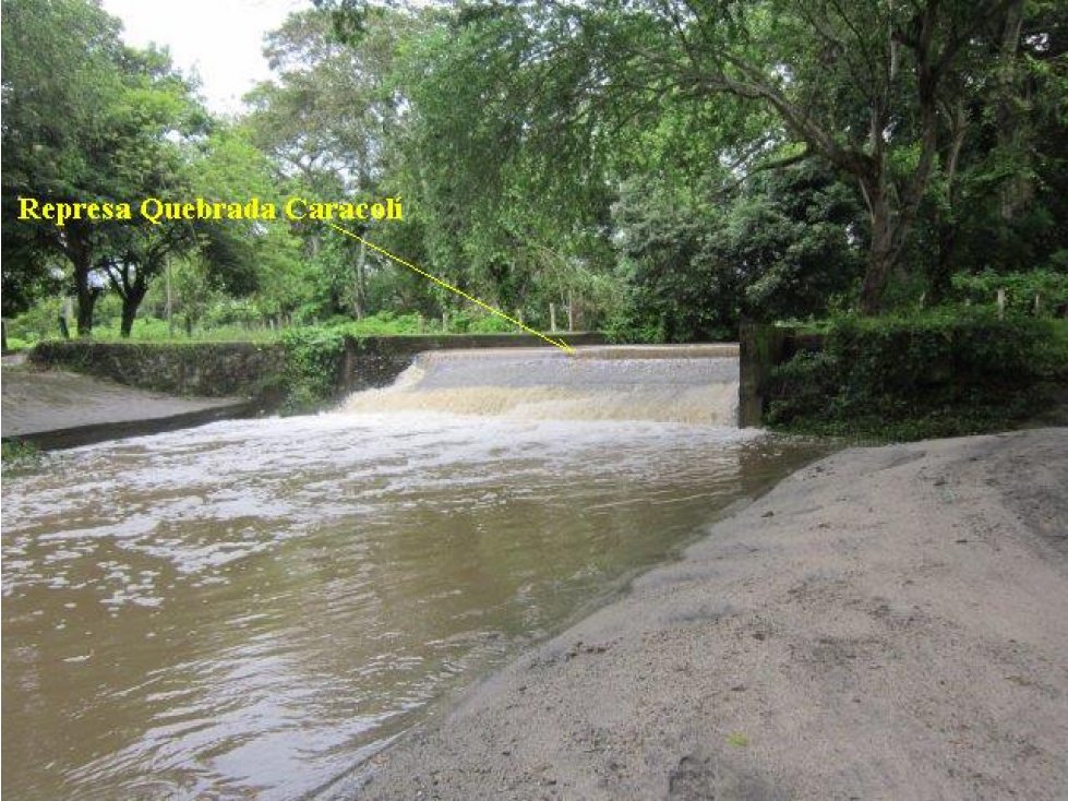 Oportunidad Venta Finca, Guamo - 6