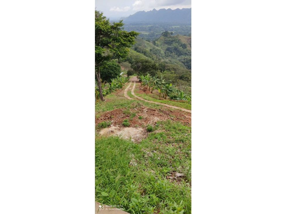 Venta Finca Vereda San Juan, Mariquita - 1