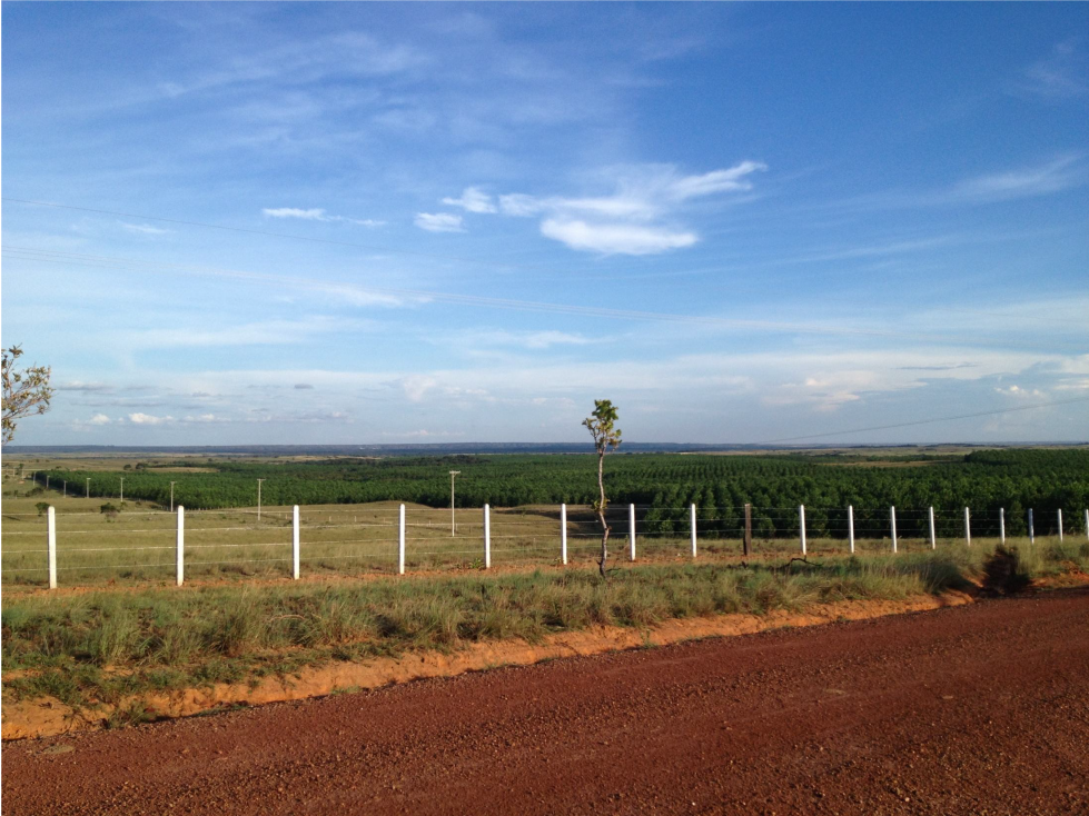VENTA ESPECTACULAR FINCA, PUERTO GAITAN - 2