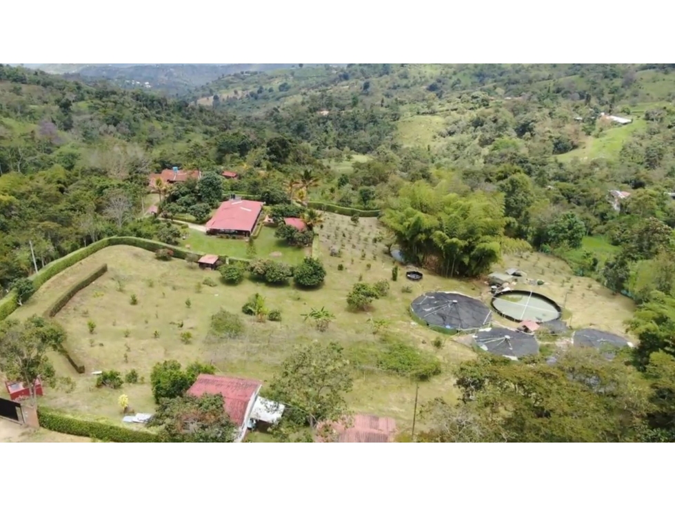 Venta o permuta Finca San Jose Vereda San Patricio, Arbeláez - 1