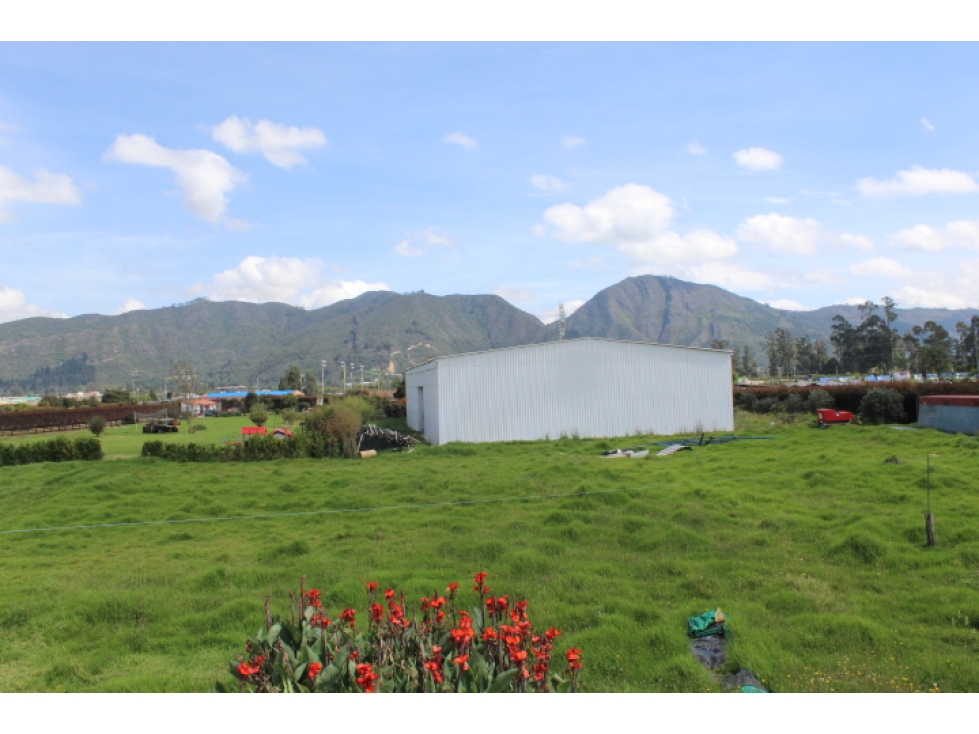 Arriendo Lote Suba Uso múltiple, Bogotá - 5