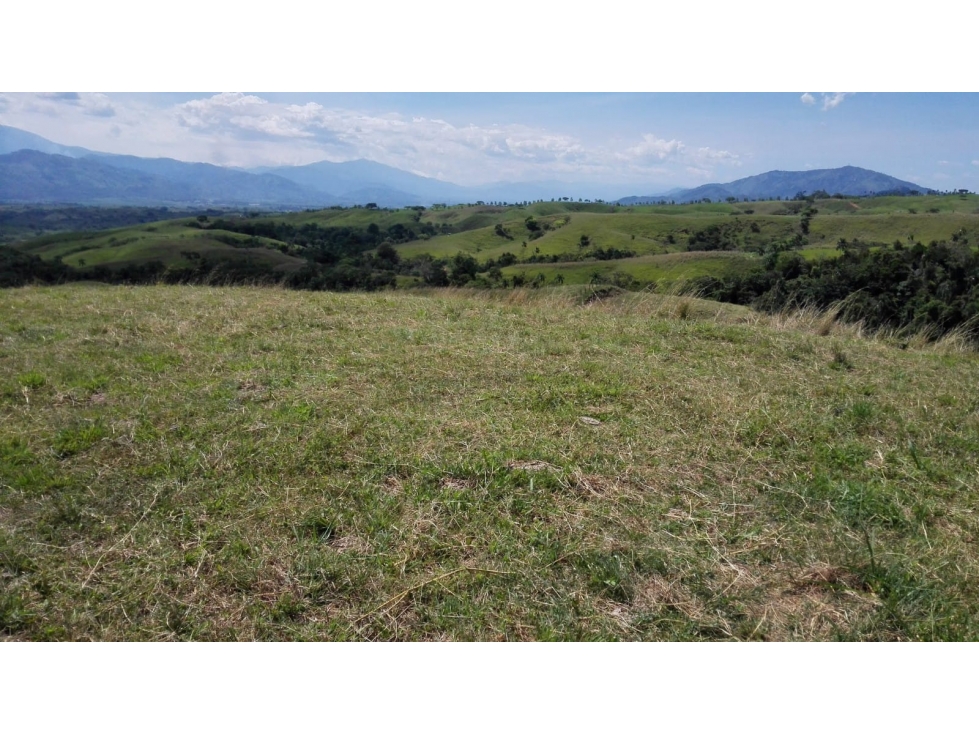Venta de Lotes en Cerritos, Pereira — foto 4