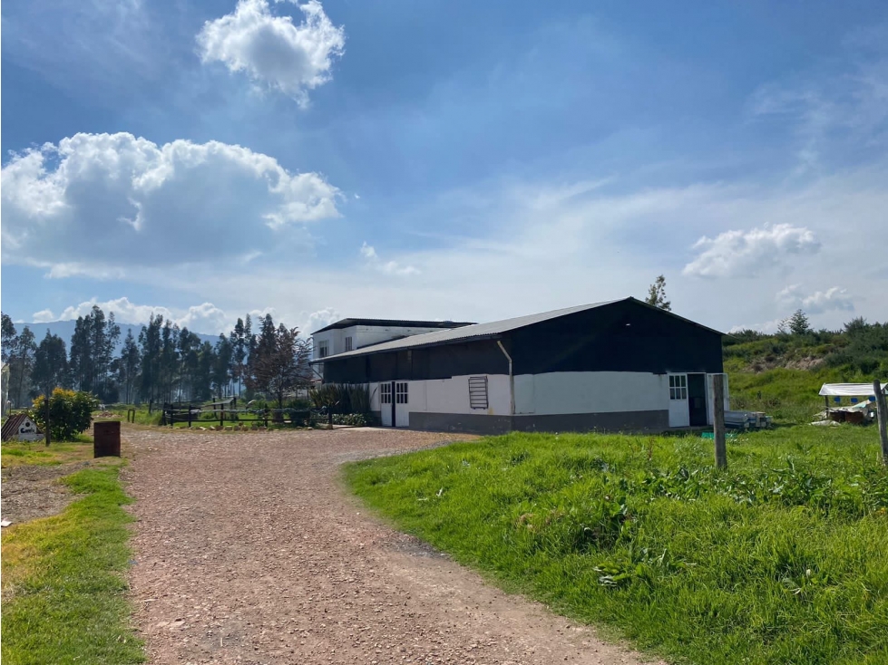 Venta finca productiva con cultivo de Rosas, Cogua - 4