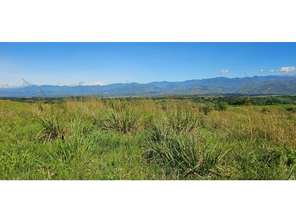 Lotes en Venta en Cerritos, Pereirra