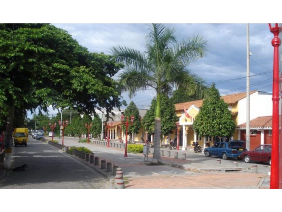 Venta Lote - Casa 23 hectáreas, Amundí, Ricaurte, Cundinamarca - 3