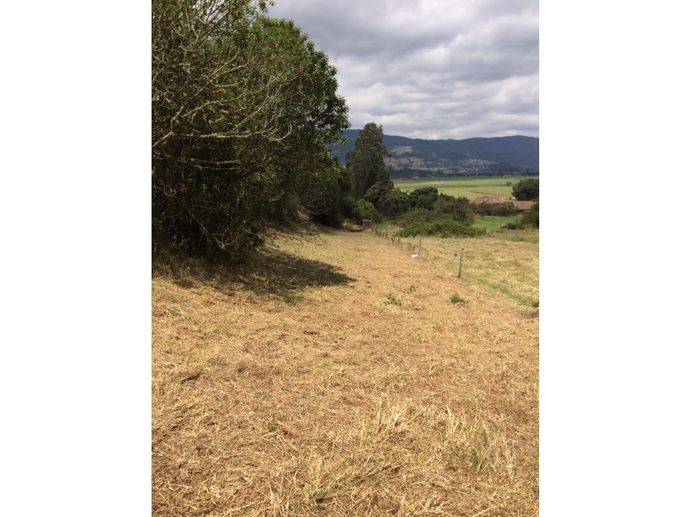 Venta lote, Sopó - 3