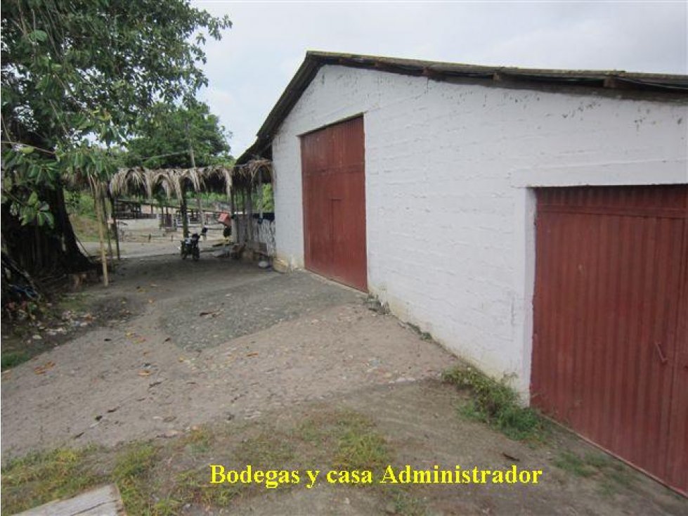 Oportunidad Venta Finca, Guamo - 6