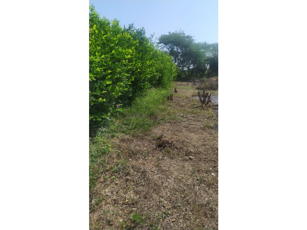 Venta Lote Zona Norte Urbanización Almeria, Cartagena — foto 2