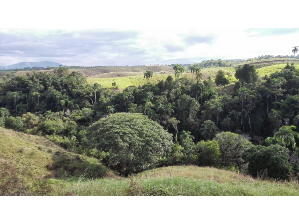 Venta de Lotes en Cerritos, Pereira — foto 2